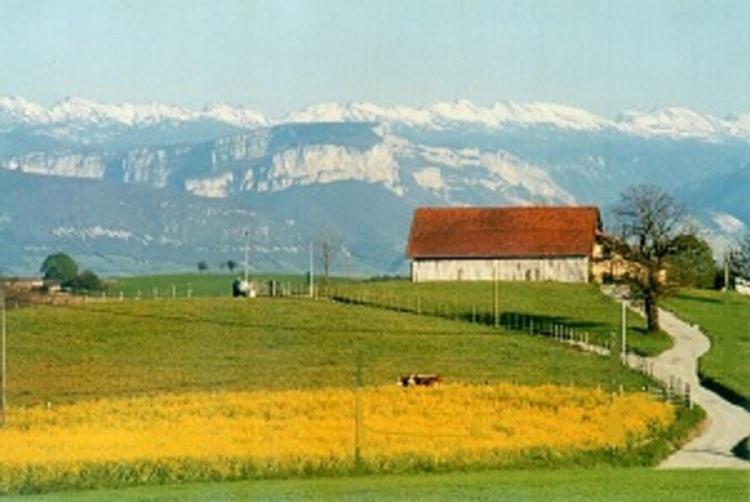 Gite La Grange Du Haut Saint-Antoine  Ngoại thất bức ảnh