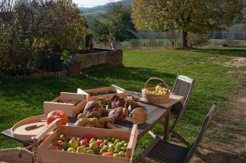 Gite La Grange Du Haut Saint-Antoine  Ngoại thất bức ảnh
